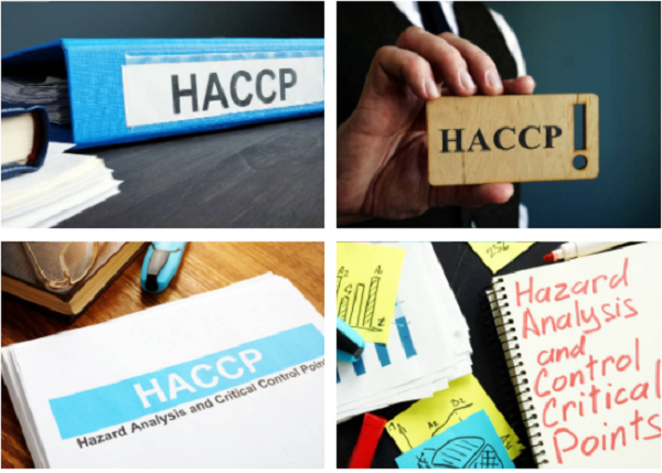 Read more about the article HACCP(Hazard Analysis Critical Control Points)